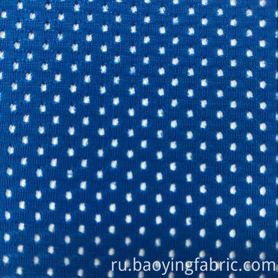 Eyelet Jersey Fabric